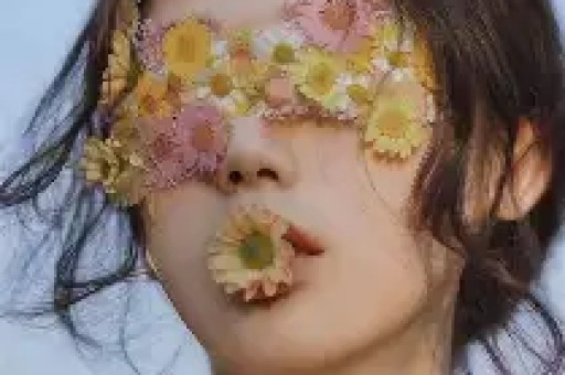 2018超级红人节十大网络红人排行榜